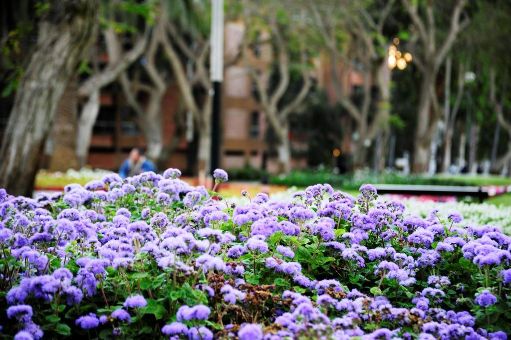 Roosevelt Hotel & Suites Lima Dış mekan fotoğraf